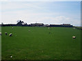 Looking across a paddock towards Henlaw Farm