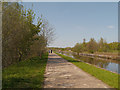 SD5803 : Leeds and Liverpool Canal at Wigan Flashes Nature Reserve by David Dixon