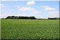 An arable field by Swannybrook Farm