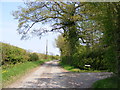 TM2474 : Mill Lane, Barley Green by Geographer