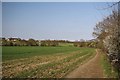TL8713 : Bridleway & Primrose Hill by Glyn Baker