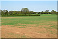 East Deane Way crosses the field