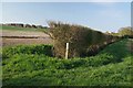 Footpath to Loamy Hill Rd