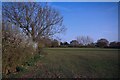 Footpath From Witham Rd