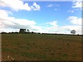 Farmland near Boughton