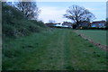 Footpath coming in to Temple Cloud