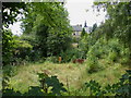 Albion Street Garden, Crookesmoor, Sheffield - 3