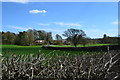 Houses in woodland and farmland