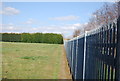 Footpath along the fence