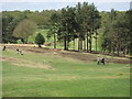 Royal Ashdown Forest Golf Club