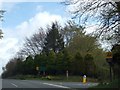 Evergreen trees at the entrance to Manor House Hotel