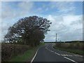 Road junction and trees at Ellmead Cross