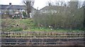 Houses by the Central line