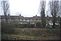 Houses on Bentworth Rd