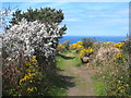 Footpath leading to the coast path at Polberrow