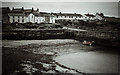 Craster Harbour