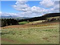 Rough pasture below Tick Law