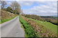 Country road east of Talley