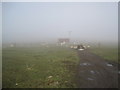 Small Field Barn and Grazing Land