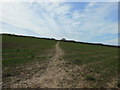 The Cotswold Way towards Dyrham Wood