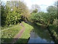 The Basingstoke Canal at North Warnborough