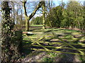 Gate and trees near Bitteswell Hall