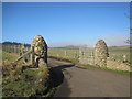 NY9971 : Ornamental Gate Posts leading to Todridge by Les Hull