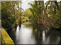 Millpond and Moat, Nether Alderley