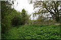 Footpath from Little Cawthorpe towards Haugham