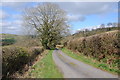 Country road near Tir-y-fan