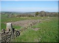 Ripponden Footpath 20