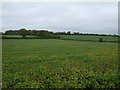 Farmland, Rudgeway