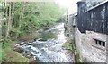 River Honddu - viewed from Struet