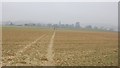 Footpath across a field