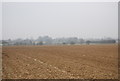 Farmland by Canterbury Rd