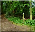 Bridleway junction north of Harvest Hill