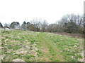 The Cotswold Way at Beech Wood