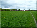 Field behind houses on Hellyer Way