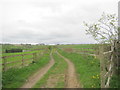 Footpath southwest from Biggen Gardens