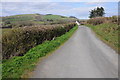 Road near Llwyn-y-berllan