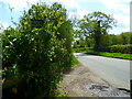 Footpath reaches lane north of Hedsor