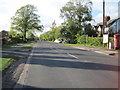 Millfield Lane looking north, Nether Poppleton