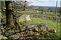 Exposed rocks by the Nidderdale Way