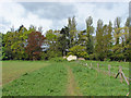 Footpath, Send  Barns Farm