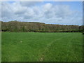 Farmland and woodland, Appledore