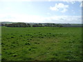 Farmland, Beacon Cross