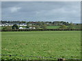 Farmland near North Tawton