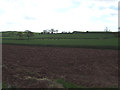 Farmland, Halsegate Cross