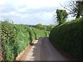 Narrow lane towards Thorne