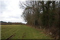 TQ6817 : Footpath along Anderson's Wood by N Chadwick